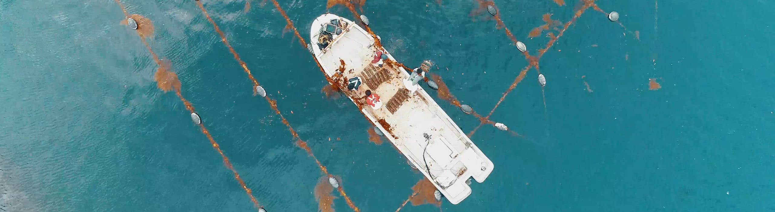 PEARL FARM STORY
