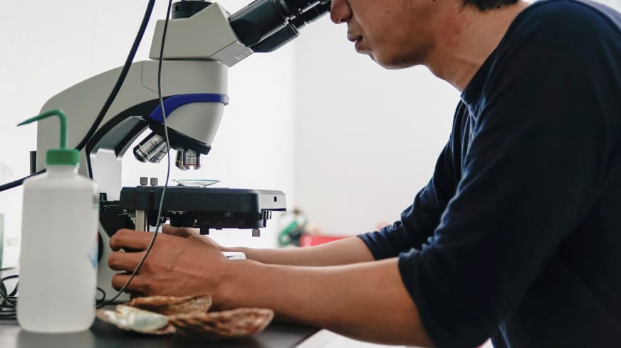 开发高环境适应性品种