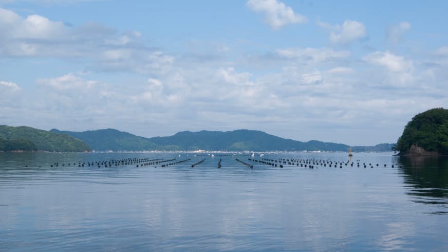 宇和岛（爱媛县）
