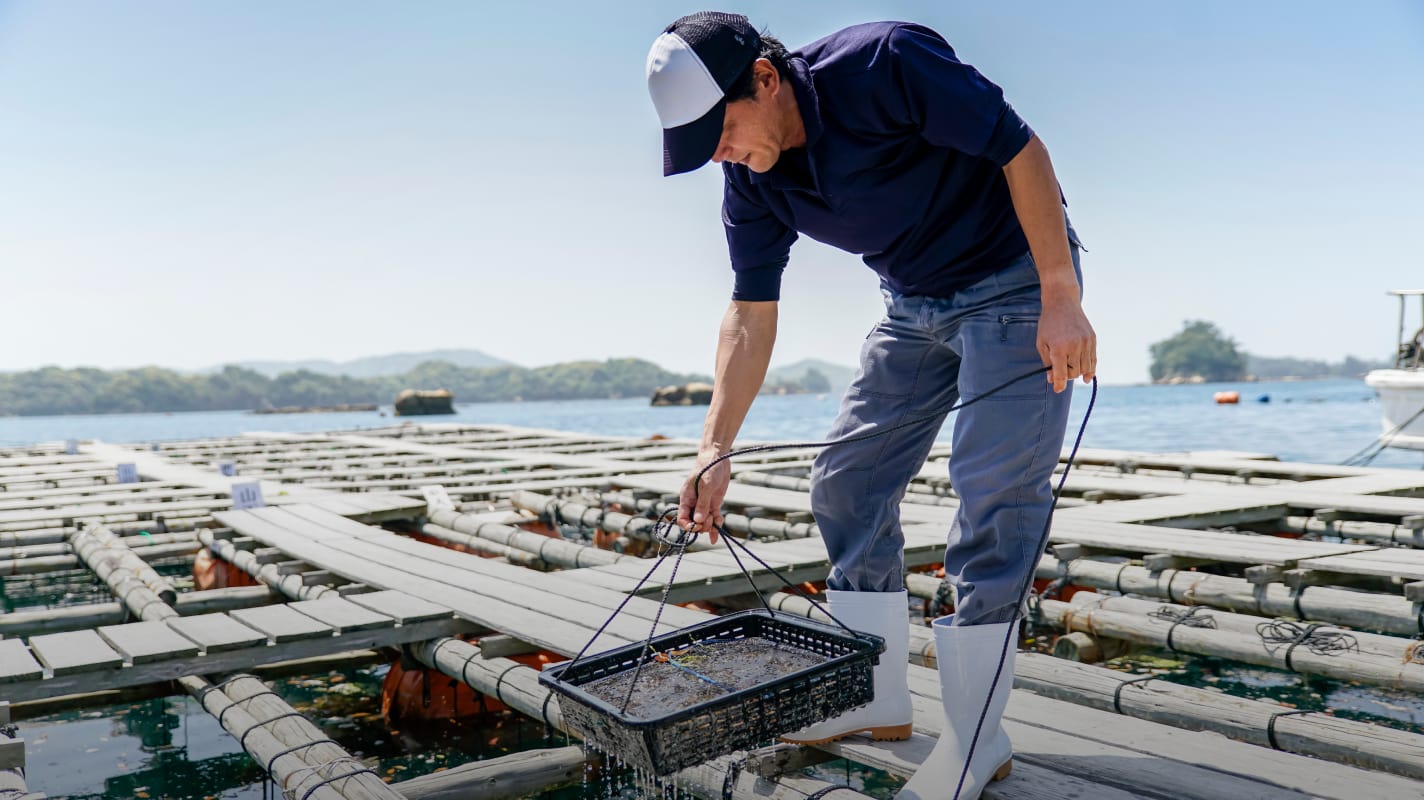 通往“高品质”的旅程