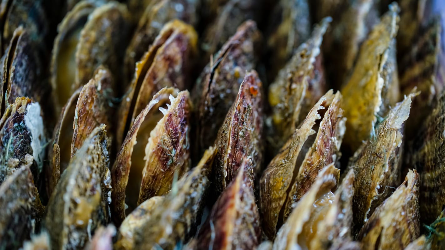 通往“高品质”的旅程