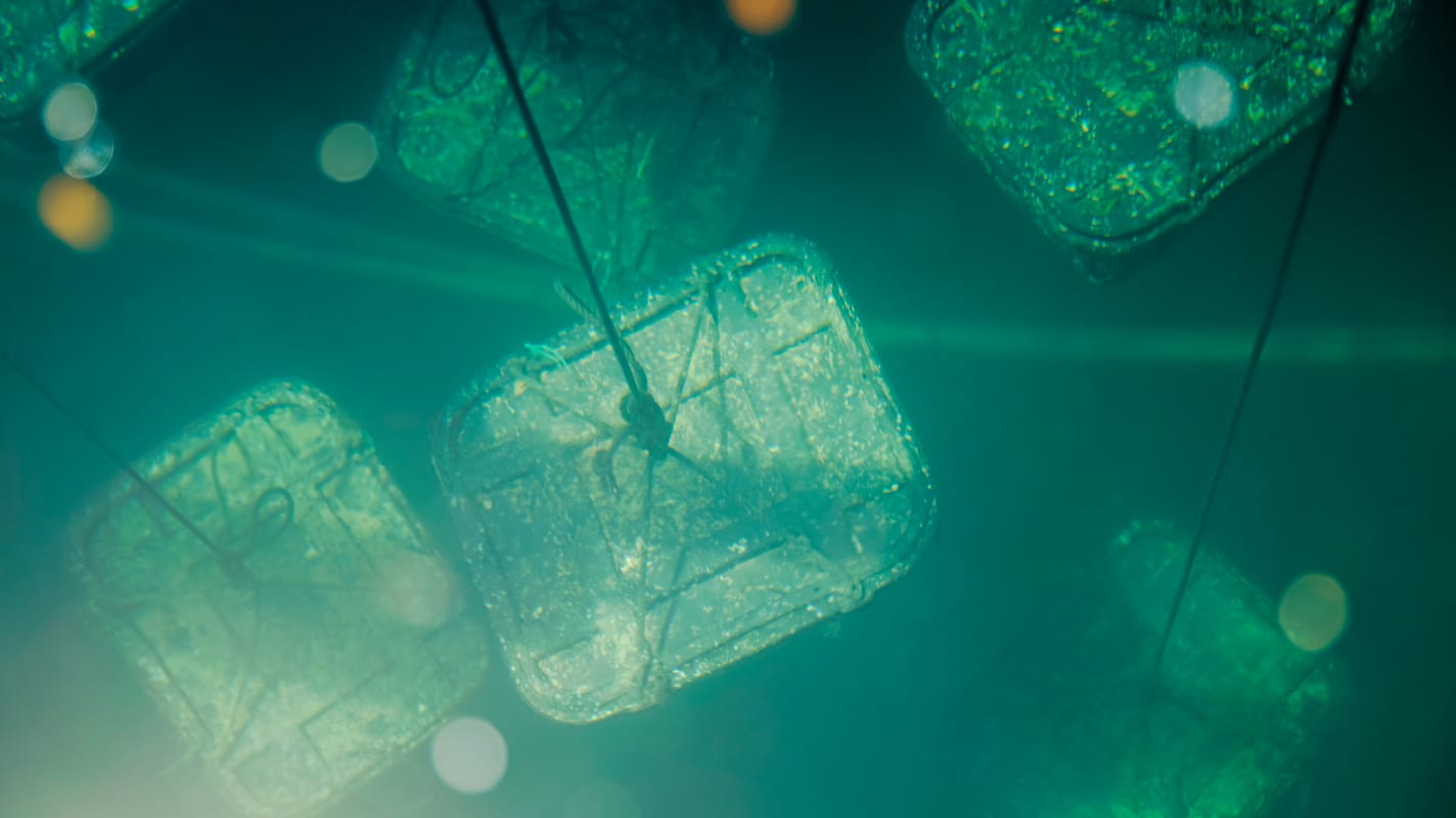 通往“高品质”的旅程