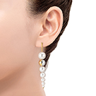 SHELL Earrings